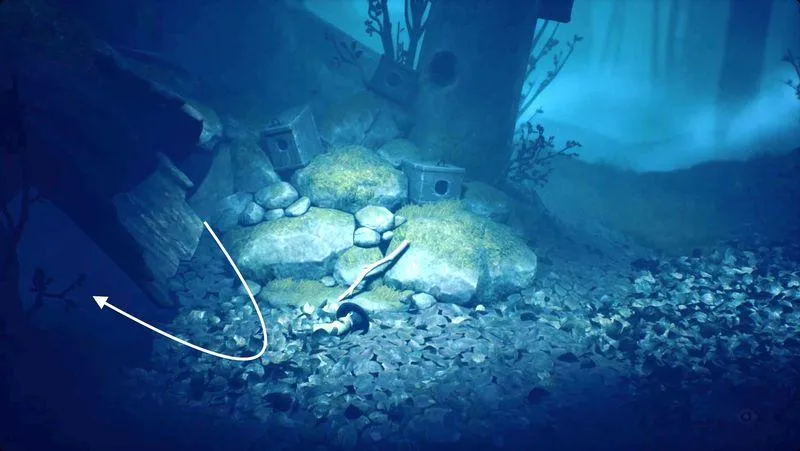 remains 2