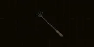 Backscratcher