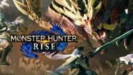 Here Are Your Answers to Important Questions About Monster Hunter Rise