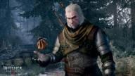 The Witcher 3 Best Signs Build - The Witcher 3 Guide